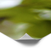 Groene Bladeren Poster (Hoek)