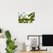 Groene Bladeren Poster (Thuiskantoor)