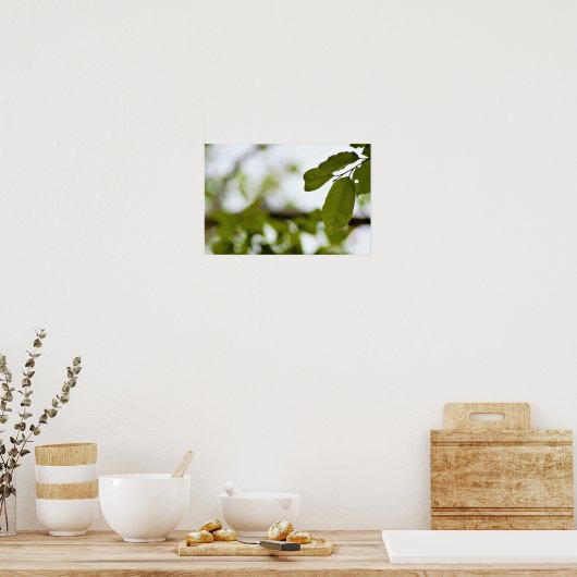 Groene bladeren poster (Keuken)