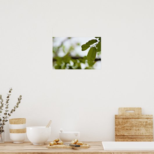 Groene Bladeren Poster (Keuken)