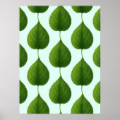 Groene bladeren poster (Voorkant)