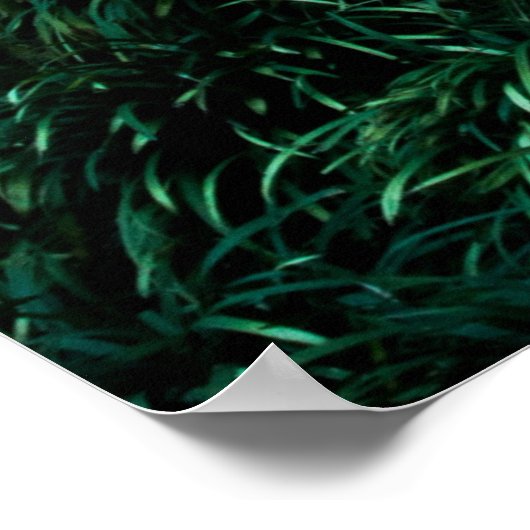Groene bladeren poster (Hoek)
