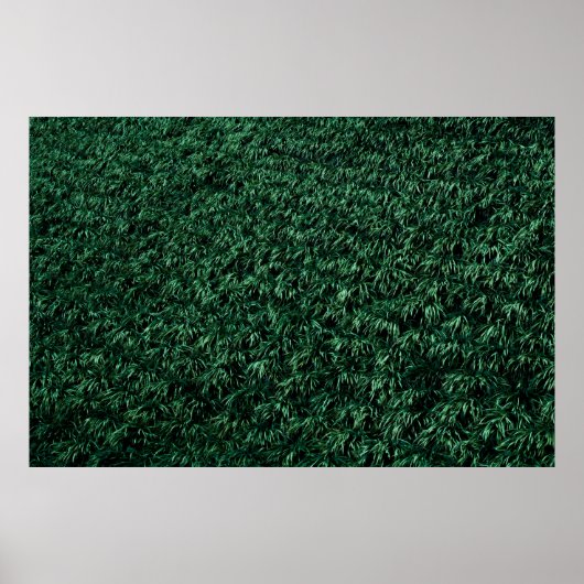 Groene bladeren poster (Voorkant)