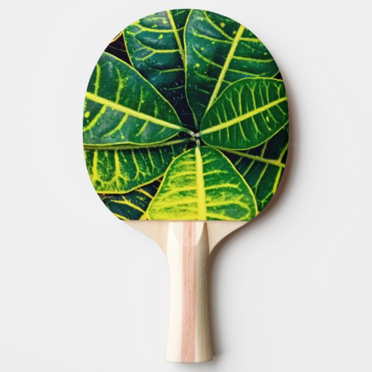 Groene bladeren tafeltennisbatje (Voorkant)