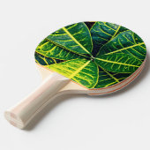 Groene bladeren tafeltennisbatje (Voorkant Gekanteld)