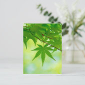 Groene bladeren van Japanse aple Briefkaart (Staand voorkant)