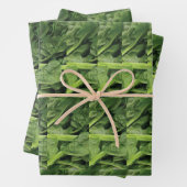 groene bladgroente inpakpapier vel (In situ)