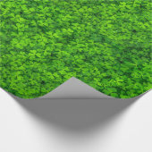 Groene bladluiken met waterdruppels cadeaupapier (Hoek)