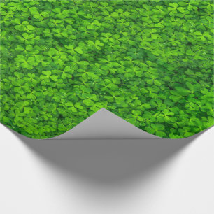 Groene bladluiken met waterdruppels cadeaupapier