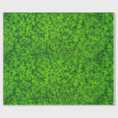 Groene bladluiken met waterdruppels cadeaupapier (Vlak)