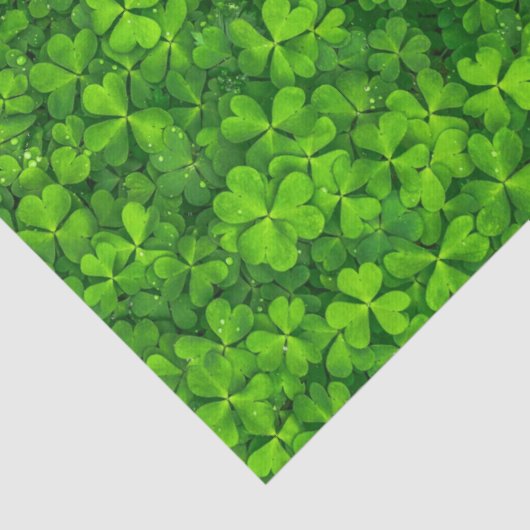 Groene bladluiken met waterdruppels tissuepapier (Detail)