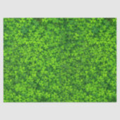 Groene bladluiken met waterdruppels tissuepapier (Voorkant)