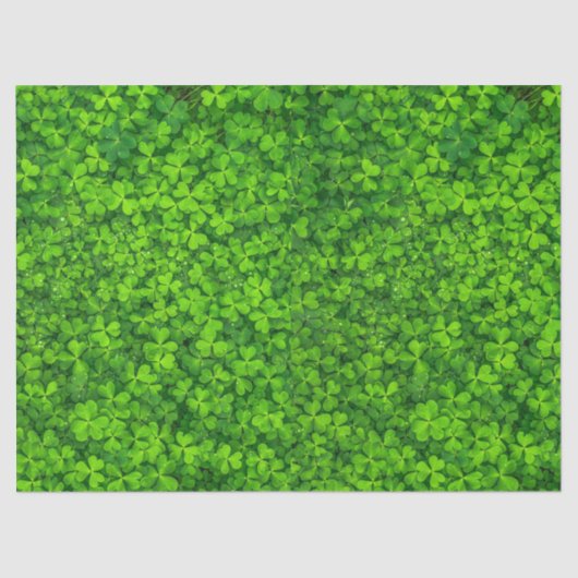 Groene bladluiken met waterdruppels tissuepapier (Voorkant)