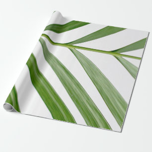Groene bladplant overdag cadeaupapier