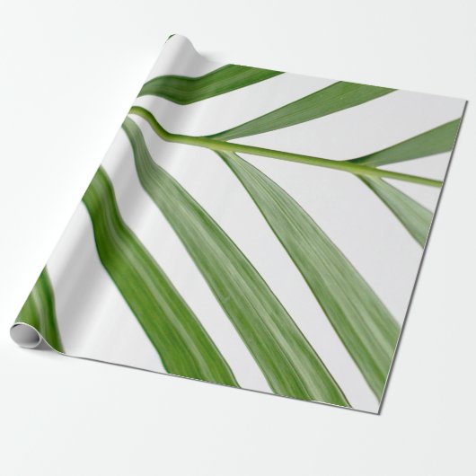 Groene bladplant overdag cadeaupapier (Uitgerold)