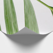 Groene bladplant overdag cadeaupapier (Hoek)