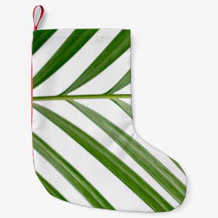 Groene bladplant overdag kleine kerstsok