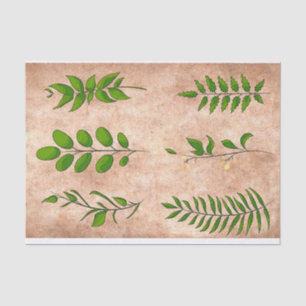 Groene bladplanten verkleurd vervaagd sepia tissuepapier