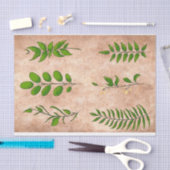 Groene bladplanten verkleurd vervaagd sepia tissuepapier (Craft)