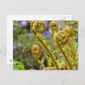 Groene bladreuzenbladeren briefkaart (Voorkant / Achterkant)