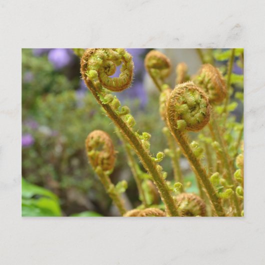 Groene bladreuzenbladeren briefkaart (Voorkant)