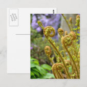 Groene bladreuzenferbladeren briefkaart (Voorkant / Achterkant)