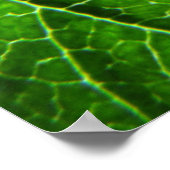 Groene bladtextuur poster (Hoek)