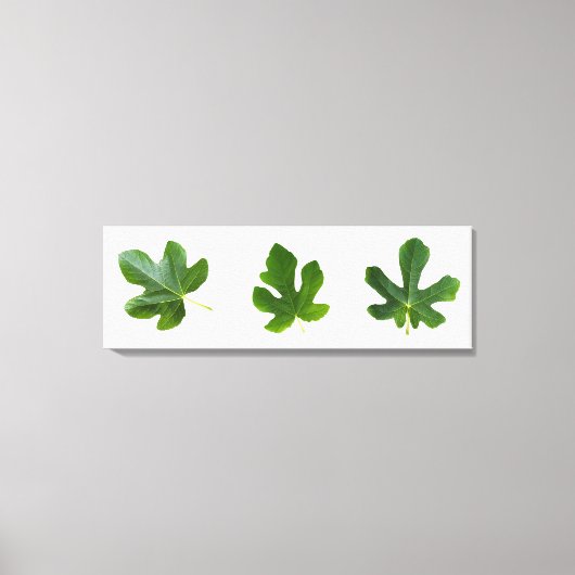 Groene bladverbinding geïsoleerd op witte achtergr canvas afdruk (Voorkant)