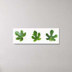 Groene bladverbinding geïsoleerd op witte achtergr canvas afdruk