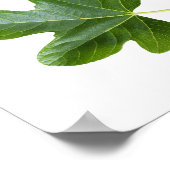 Groene bladverbinding geïsoleerd op witte achtergr poster (Hoek)