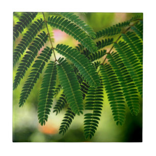 Groene bladzijden keramische tegels tegeltje