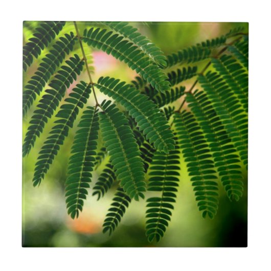 Groene bladzijden keramische tegels tegeltje (Voorkant)