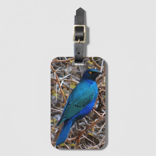 Groene blauwe haarstaarvogel bagagelabel (Voorkant (verticaal))