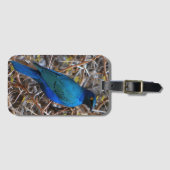 Groene blauwe haarstaarvogel bagagelabel (Voorkant (horizontaal))