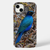 Groene blauwe haarstaarvogel Case-Mate iPhone case (Achterkant)