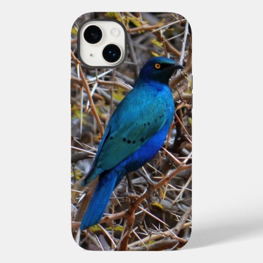 Groene blauwe haarstaarvogel Case-Mate iPhone case (Achterkant)