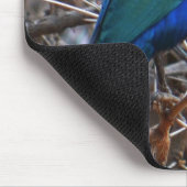 Groene blauwe haarstaarvogel muismat (Hoek)