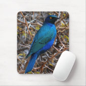 Groene blauwe haarstaarvogel muismat (Met muis)