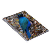 Groene blauwe haarstaarvogel notitieboek (Rechterzijde)