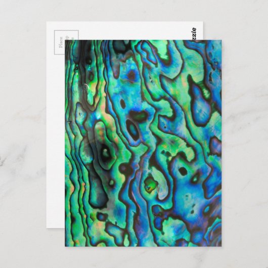 Groene blauwe paua zeebraseschelp briefkaart (Voorkant / Achterkant)