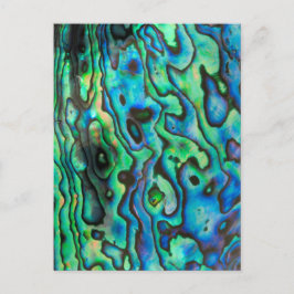 Groene blauwe paua zeebraseschelp briefkaart