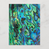 Groene blauwe paua zeebraseschelp briefkaart (Voorkant)