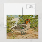 Groene Blauwgroen illustratie Briefkaart (Voorkant / Achterkant)