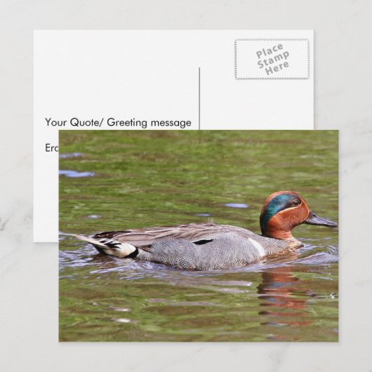 Groene Blauwgroen man Briefkaart (Voorkant / Achterkant)