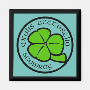 Groene Blauwgroen Shamrock Saint Patrick's Day Flo Magneet