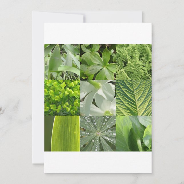 Groene bloemen (Voorkant)