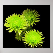 Groene bloemen Afdrukken/Poster