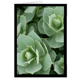 Groene Bloemen - Lied van de Zon. 4:9-Wenskaart