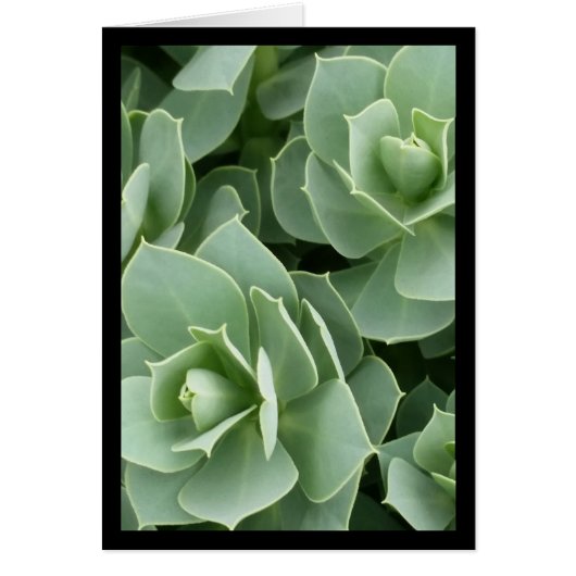 Groene Bloemen - Lied van de Zon. 4:9-Wenskaart (Voorkant)