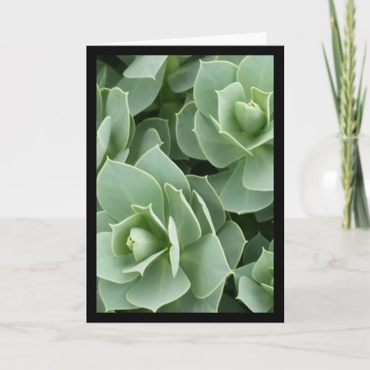 Groene Bloemen - Lied van de Zon. 8:7 Wenskaart Kaart (Voorkant)